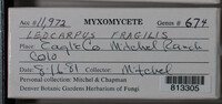 Image Associated With the Occurence